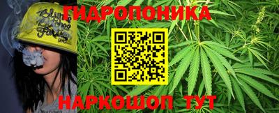 гашик Будённовск