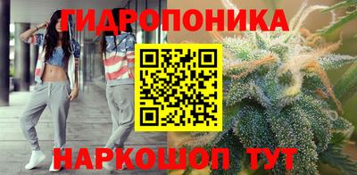 гашик Будённовск