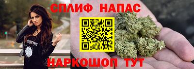 гашик Будённовск