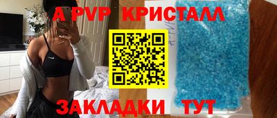 гашик Будённовск