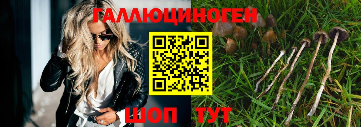 Галлюциногенные грибы Psilocybine cubensis  Вход с VPN  Нефтекумск 
